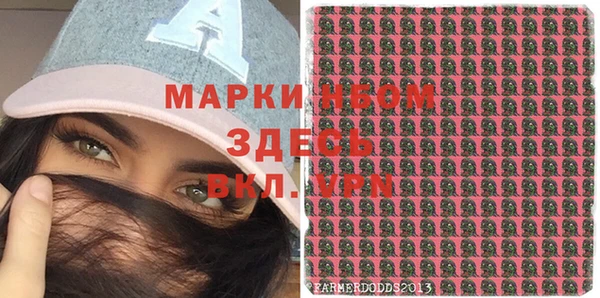 Альфа ПВП Белокуриха