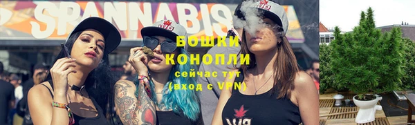 Альфа ПВП Белокуриха
